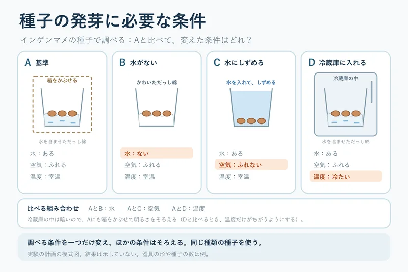 種子の発芽に必要な条件（小学校5年理科「植物の発芽，成長，結実」の図）