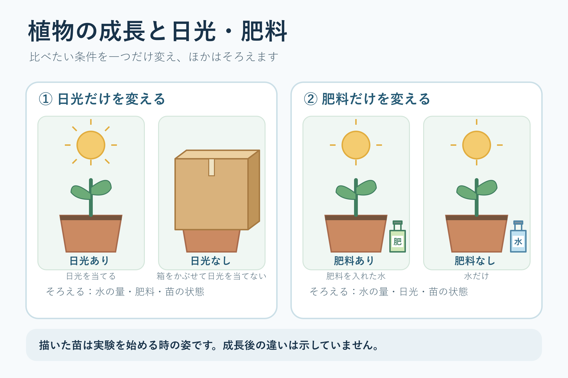 植物の成長と日光・肥料(小学校5年理科「植物の発芽,成長,結実」の図)