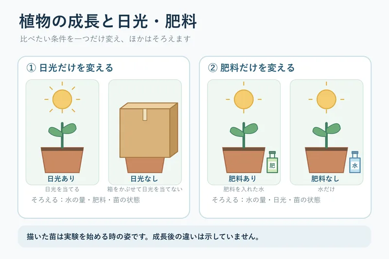 植物の成長と日光・肥料（小学校5年理科「植物の発芽，成長，結実」の図）