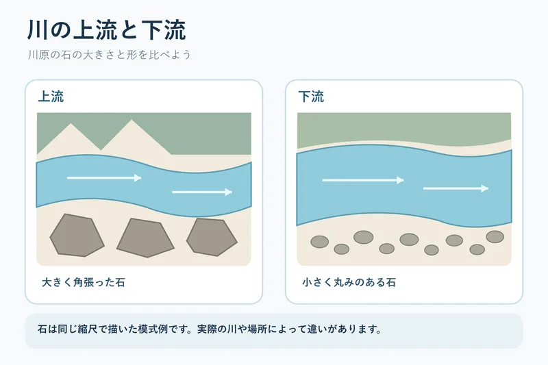 川の上流と下流（小学校5年理科「流れる水の働きと土地の変化」の図）