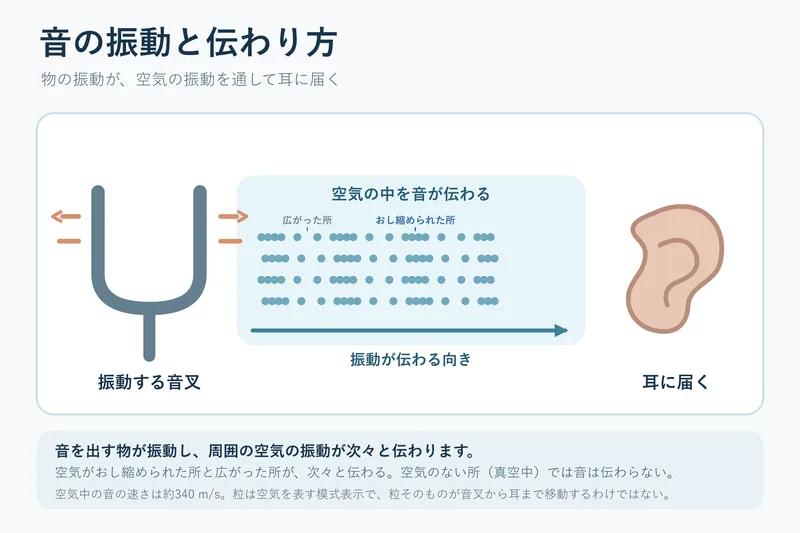 音の振動と伝わり方（中学校1年理科「身近な物理現象」の図）