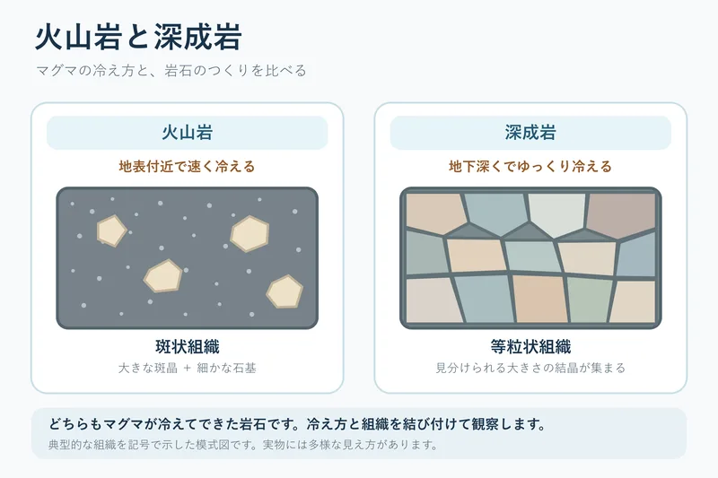 火山岩と深成岩（中学校1年理科「大地の成り立ちと変化」の図）