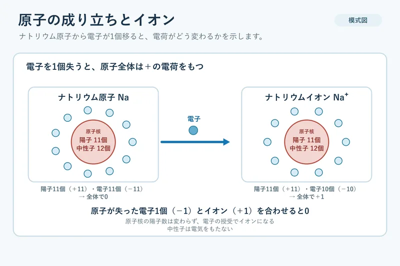 原子の成り立ちとイオン（中学校3年理科「化学変化とイオン」の図）