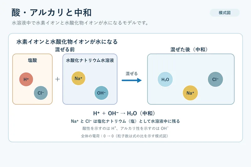 酸・アルカリと中和（中学校3年理科「化学変化とイオン」の図）
