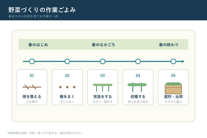 野菜づくりの作業ごよみ（小学校3年社会「地域に見られる生産や販売の仕事」の図）