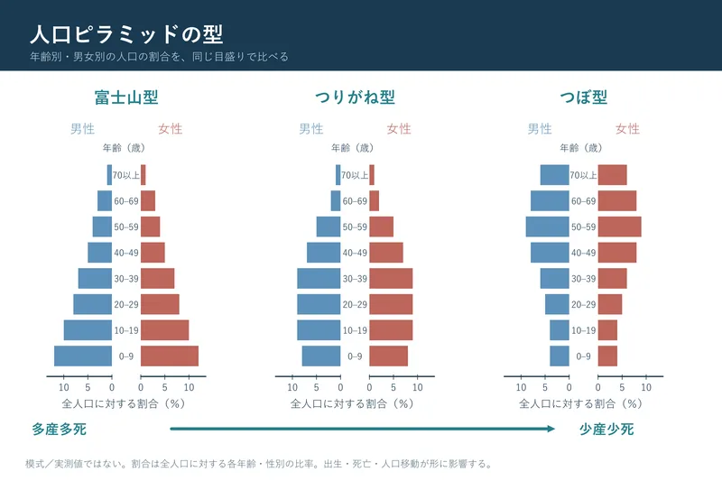 人口ピラミッドの型（中学校地理「日本の地域的特色と地域区分」の図）